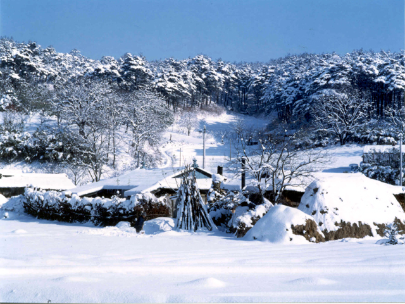 산촌의 겨울풍경